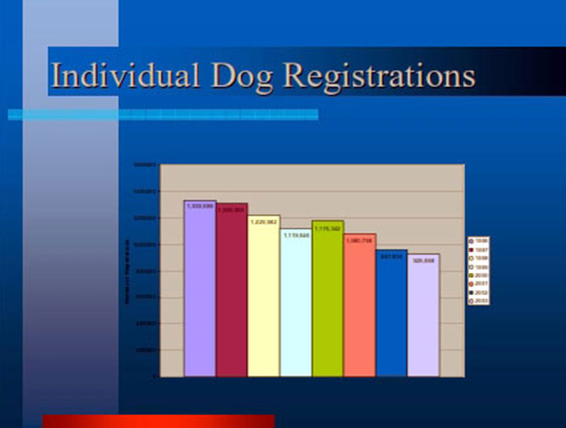 A Gathering Storm pt 2 Individual Dog Registrations