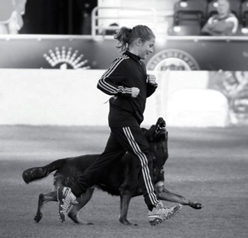2013 – Junior with her working dog