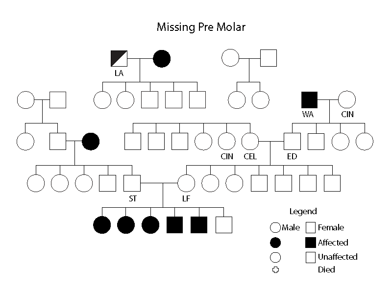 Figure 3 Missing Pre Molor