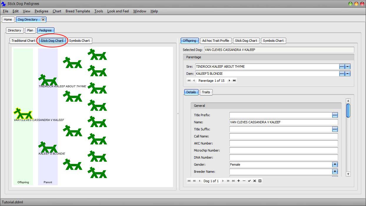 The Stickdog Pedigrees Program showing the Color Chart Button