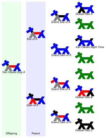 Stick Dog Color Chart Pedigree