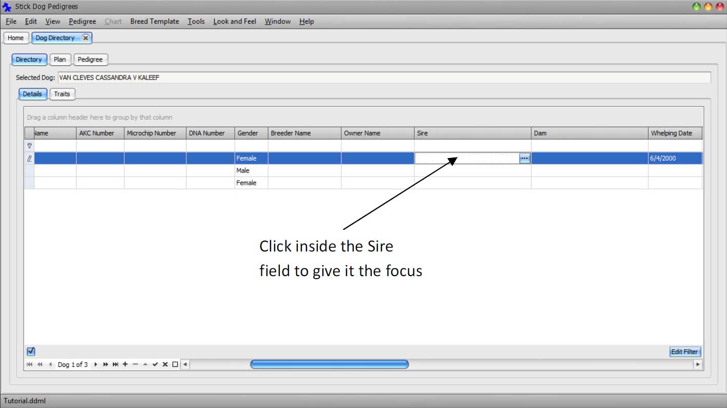 The Stickdog Pedigrees Program showing the Give Sire Field Focus Dialog Box