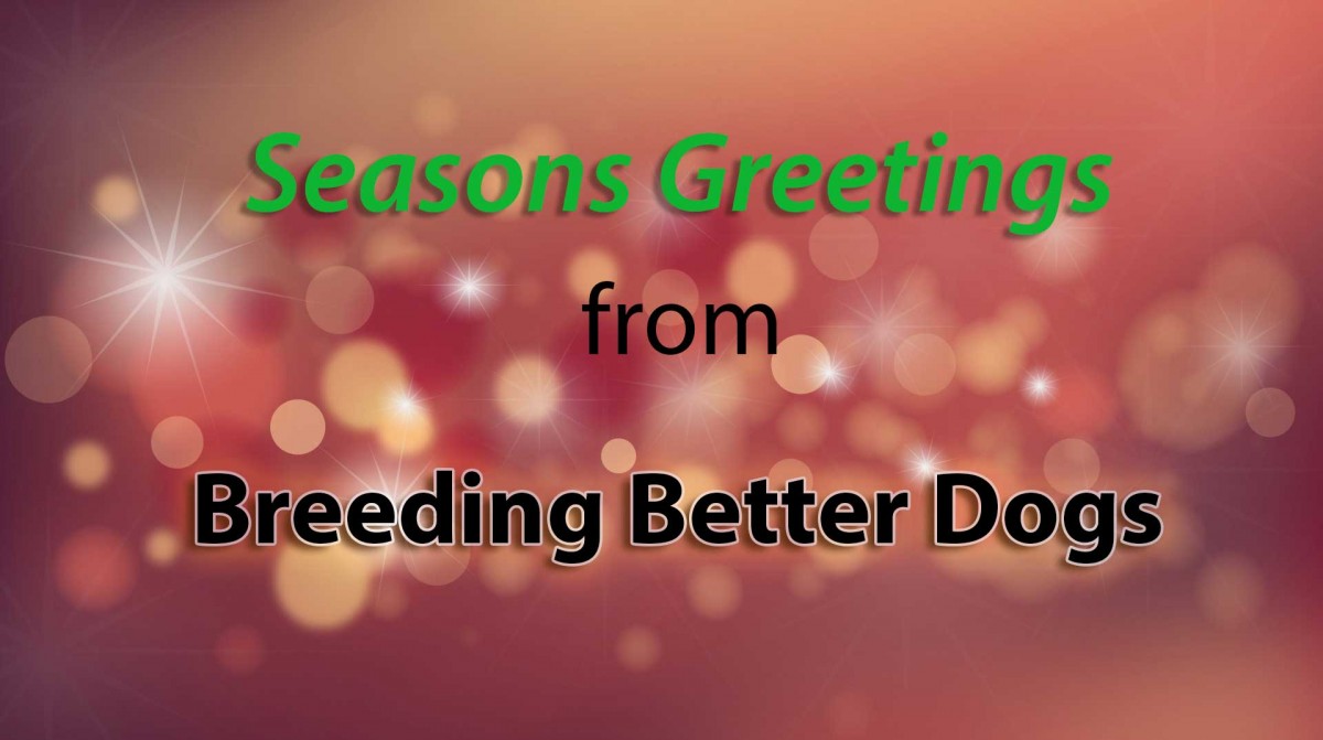 Seasons Greetings from Breeding Better Dogs