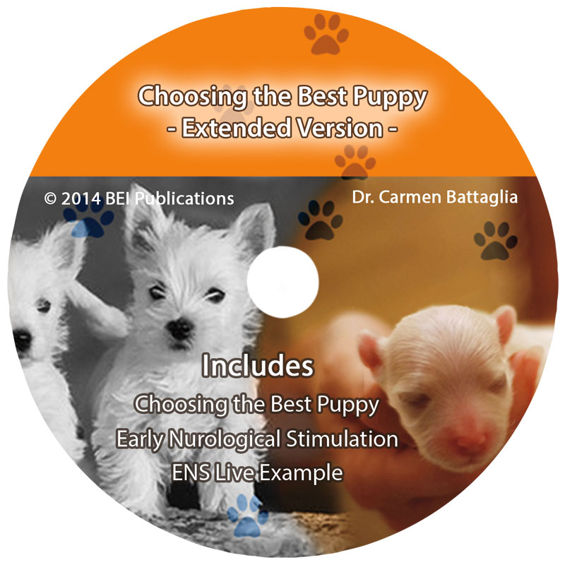Choosing the best puppy seminar DVD label