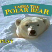 Tasha the Polar Bear DVD Menu