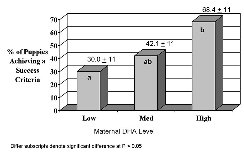Effect of Maternal and Post-Weaning Diet on Puppy Trainability Graph